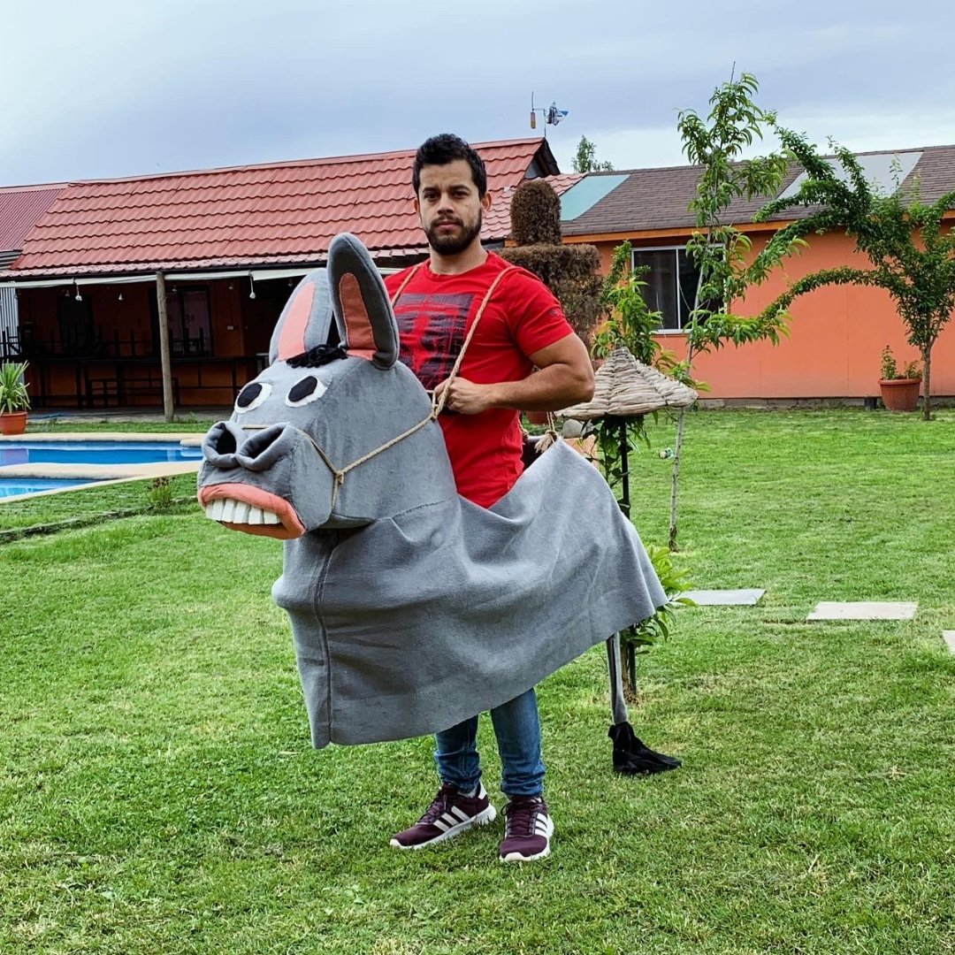 Títere de Burro realizado para obra Don Quijote