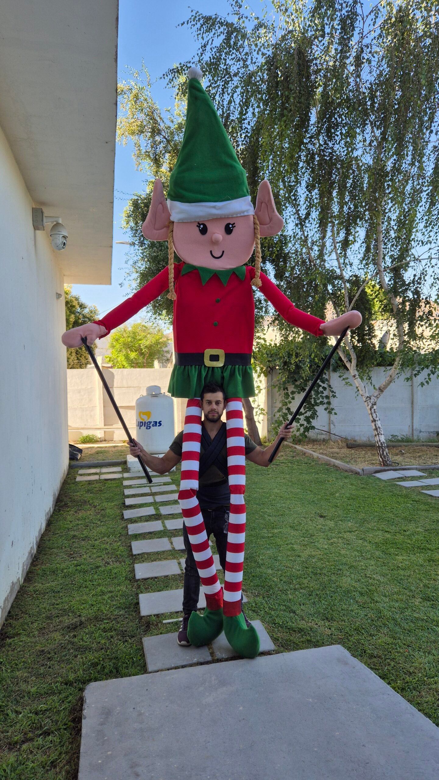 Marioneta de Pichinco para Proyecto explora norte